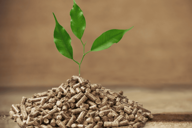 Dorong Transisi Energi Nasional, PLN Indonesia Power Sudah Produksi 1.101 GWh Energi Bersih Biomassa Selama Tahun 2025