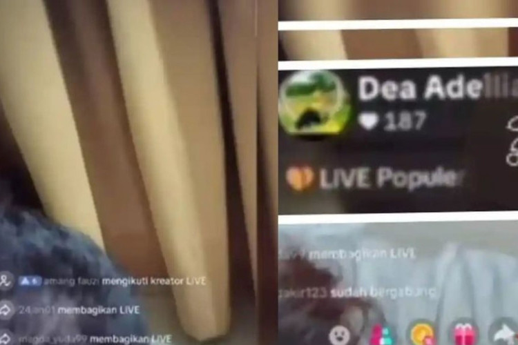 Link Viral Video Live TikTok Diduga Libatkan Kades Balangan, Ini Kronologi dan Respons Aparat Lengkap