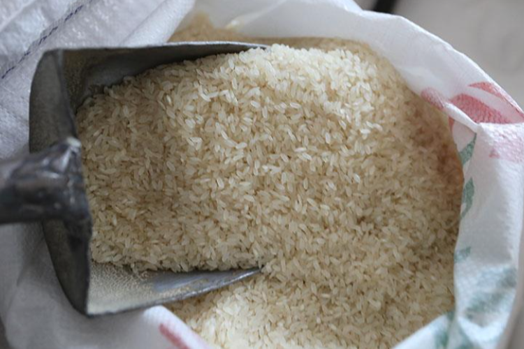 Perizinan Rumit Bikin Investasi Indonesia Kalah Saing dari Vietnam, Jadi Tantangan Terbesar Bagi Para Petani Lokal