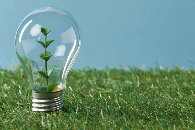 Dorong Swasembada Energi Tahun 2026, Pemerintah Percepat Pengembangan Bioenergi Berbasis Komoditas Pertanian