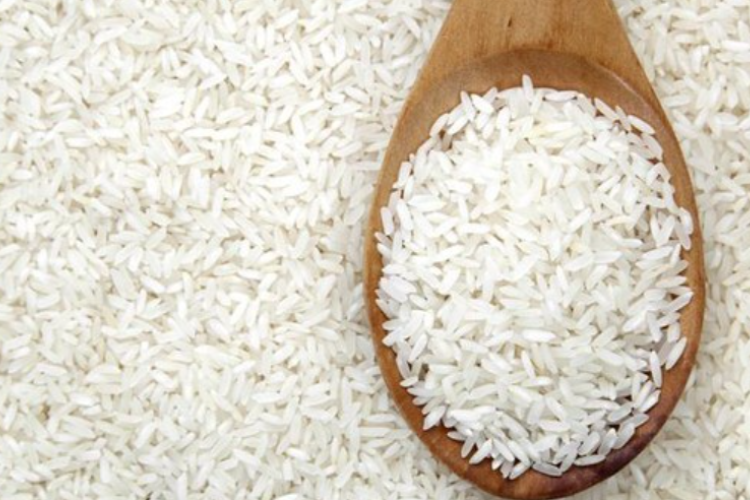 Sinyal Tambah Kuota Impor Beras? Wakil Komisi IV DPR Tantang Penyuluh Tingkatkan Produksi Padi Sumbar Lewat Sawah Pokok Murah