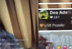 Link Viral Video Live TikTok Diduga Libatkan Kades Balangan, Ini Kronologi dan Respons Aparat Lengkap