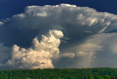 Apa Itu Awan Cumulonimbus? BMKG Peringatkan Potensi Cuaca Ekstrem 15–21 April 2026 di Indonesia