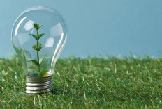 Dorong Swasembada Energi Tahun 2026, Pemerintah Percepat Pengembangan Bioenergi Berbasis Komoditas Pertanian